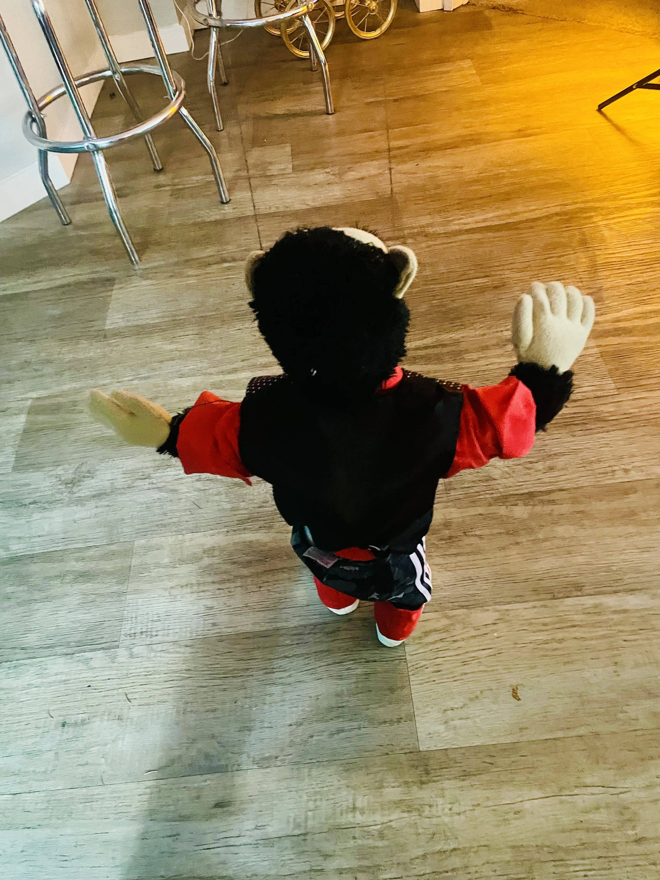 IMG_2028.jpeg