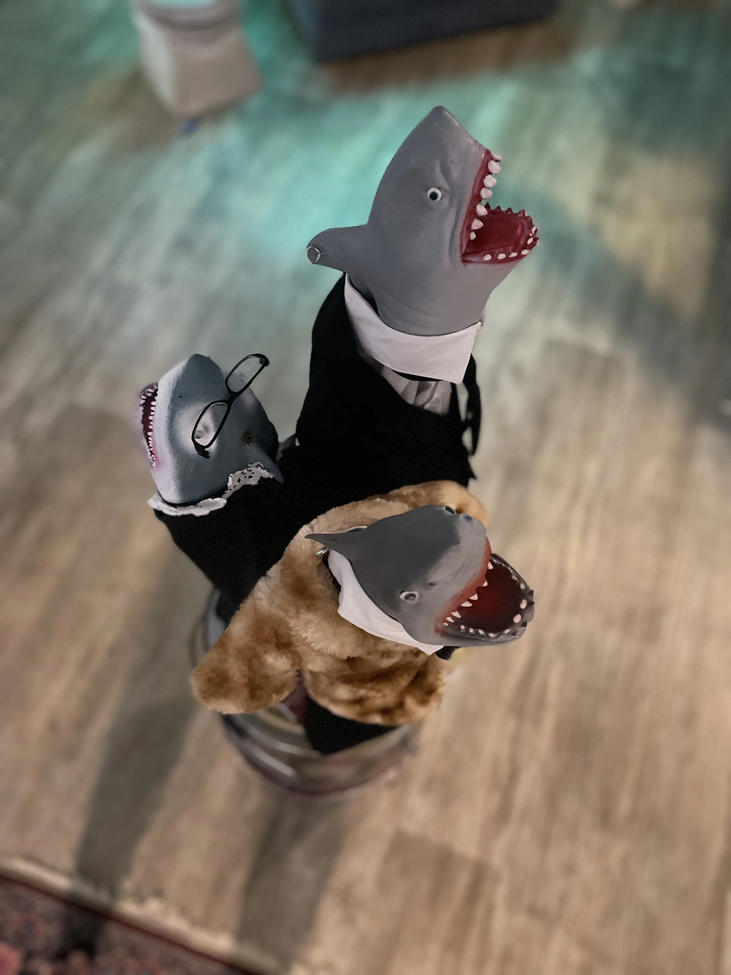 Lawyer Sharks and the Notorious MEG