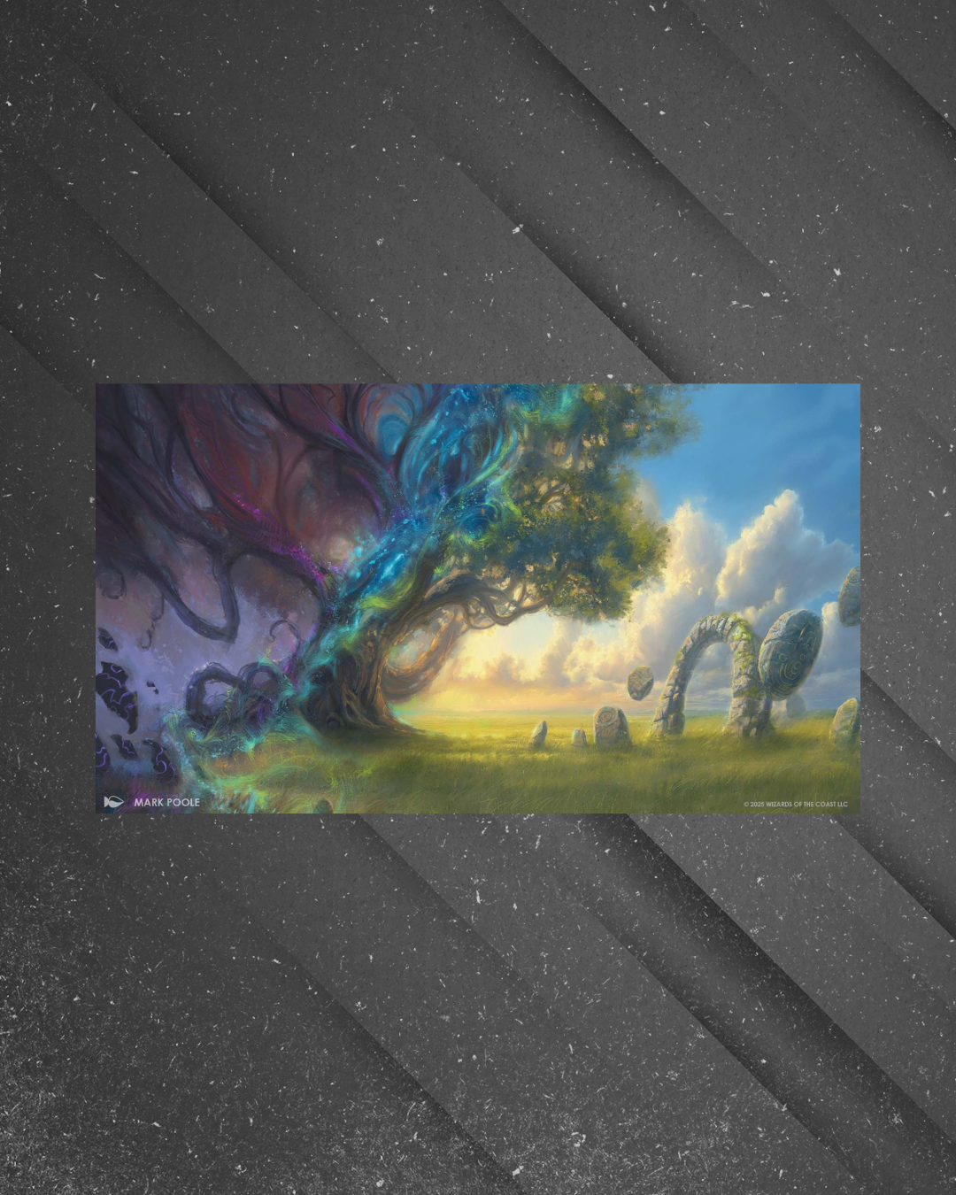 FUNDO SITE - 2026-04-18T112246.005.png