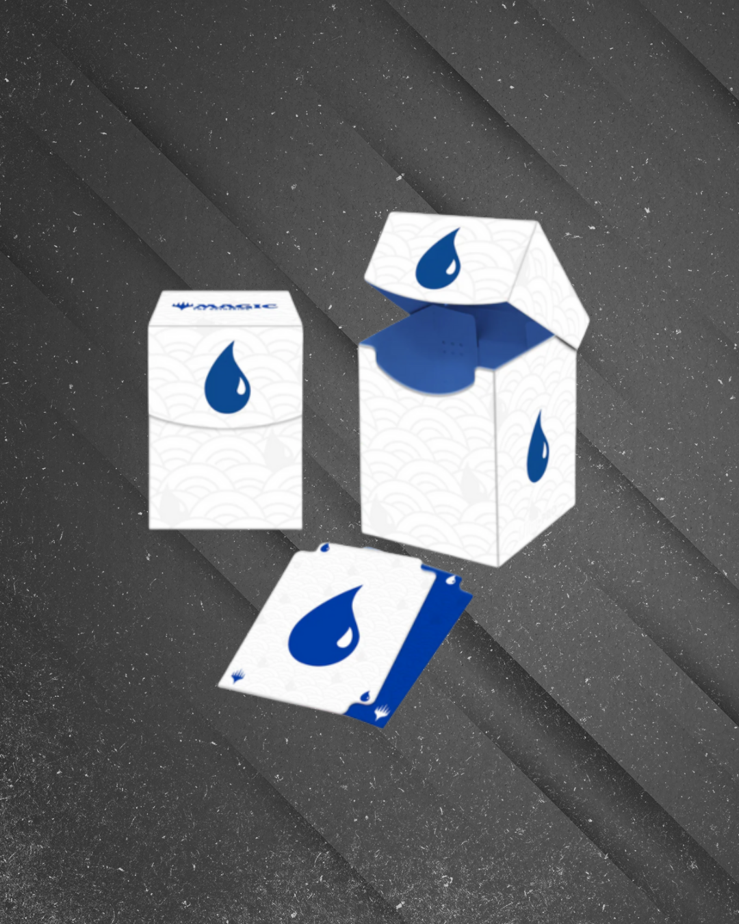 FUNDO SITE - 2026-02-14T123920.569.png