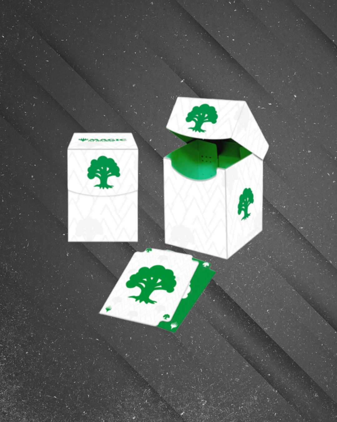 FUNDO SITE - 2026-02-14T123910.215.png