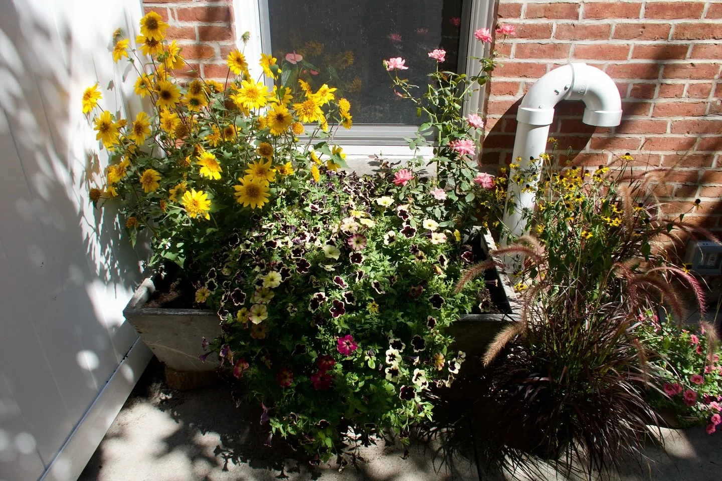 happy thanksgiving! I&rsquo;m so grateful I get to do my dream job every day and learn from the most beautiful beings in the world. Thank you Mother Nature 🧡