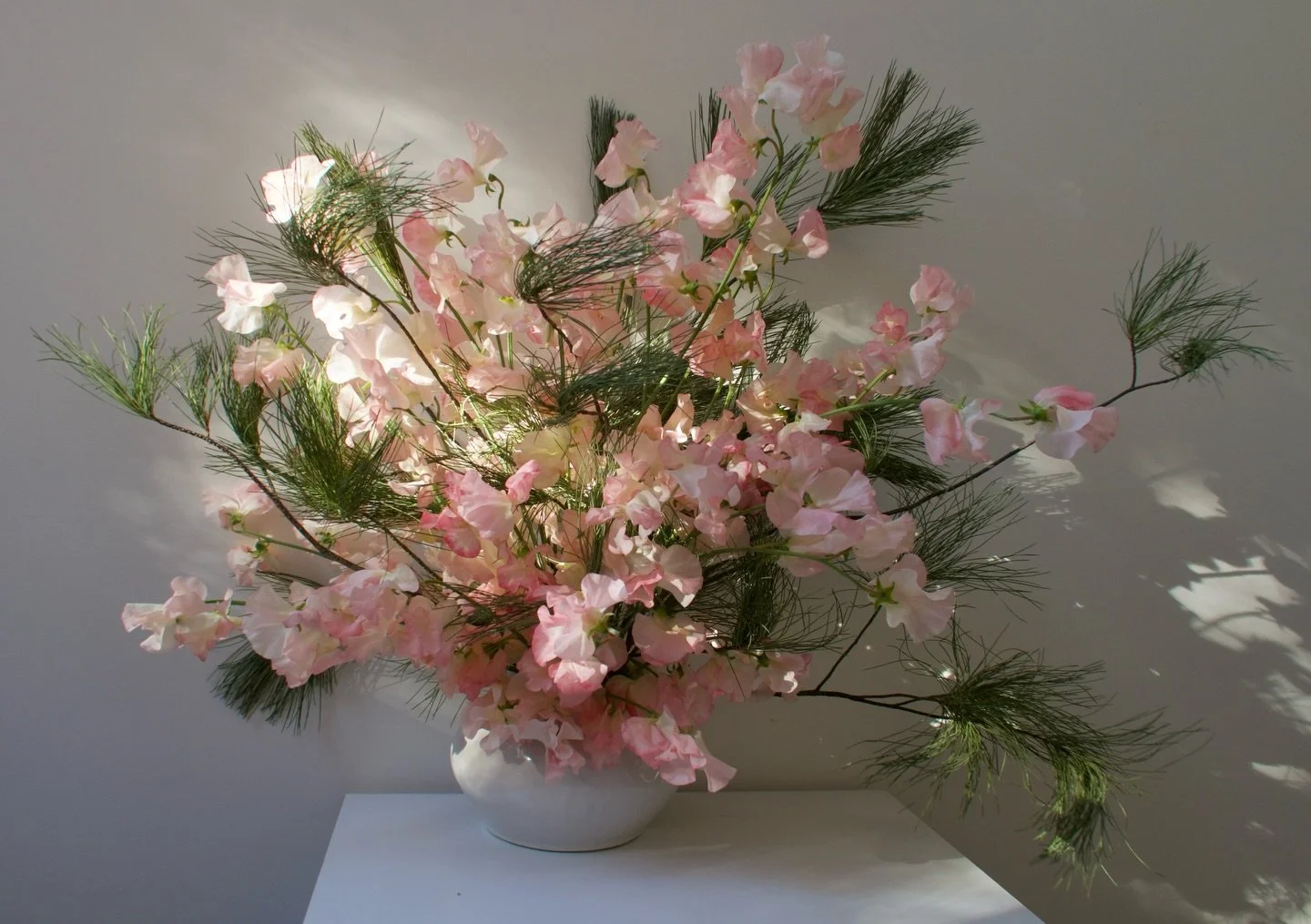 spring can you hear me!!! please come soon!!