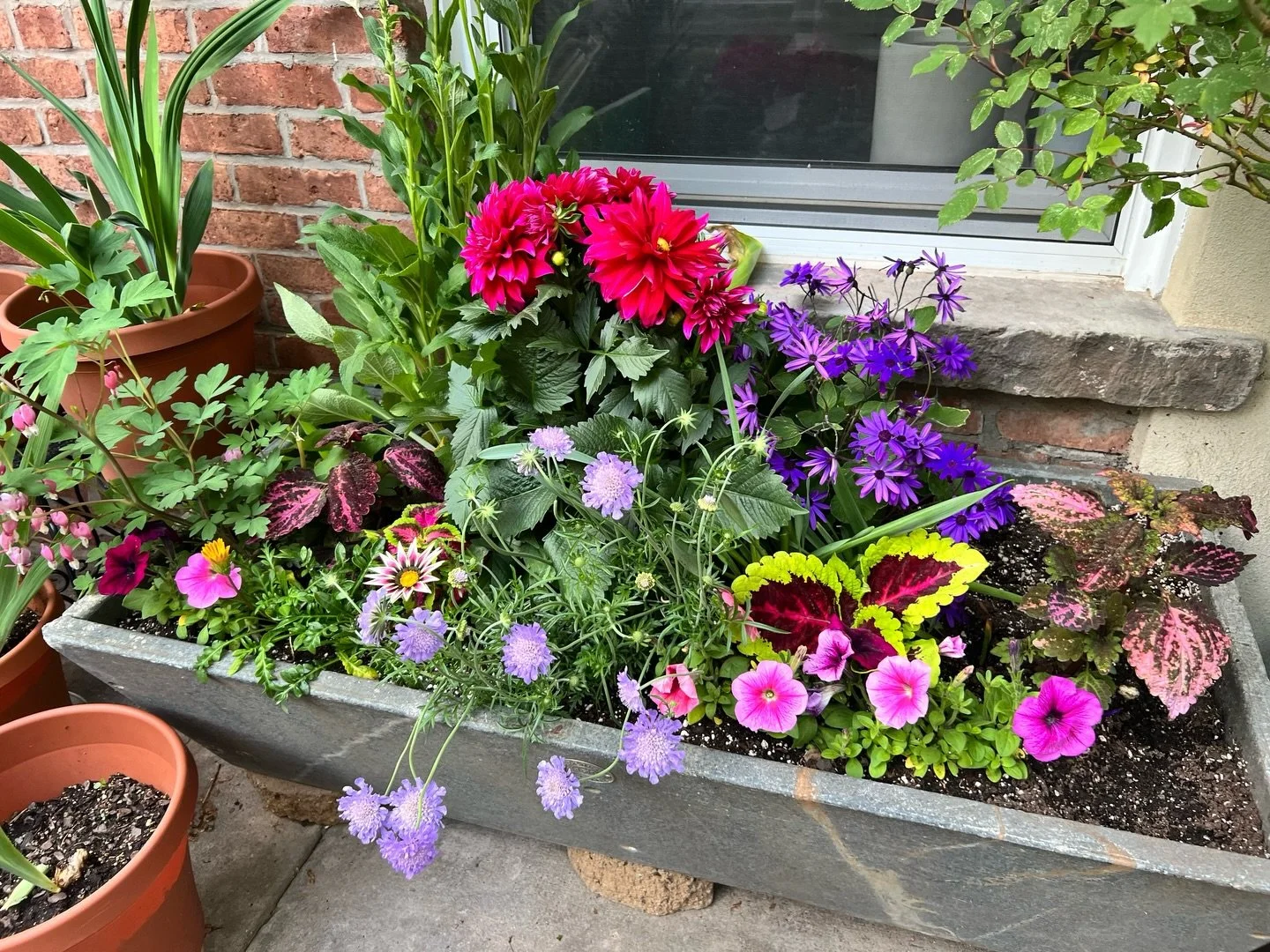 A symphony of colors textures and squiggles in my new late spring planter box :)