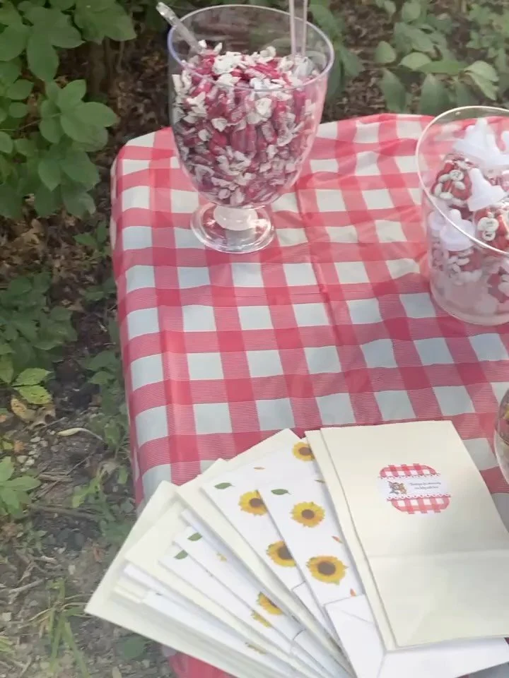 A Little One&rsquo;s on the Way -Let&rsquo;s Celebrate the Tom &amp; Jerry Way ! 

This sweet table featured cupcakes, royal icing sugar cookies, chocolate-covered pretzels, and assorted candy &mdash; a perfect spread for any celebration!
Book Tummy 