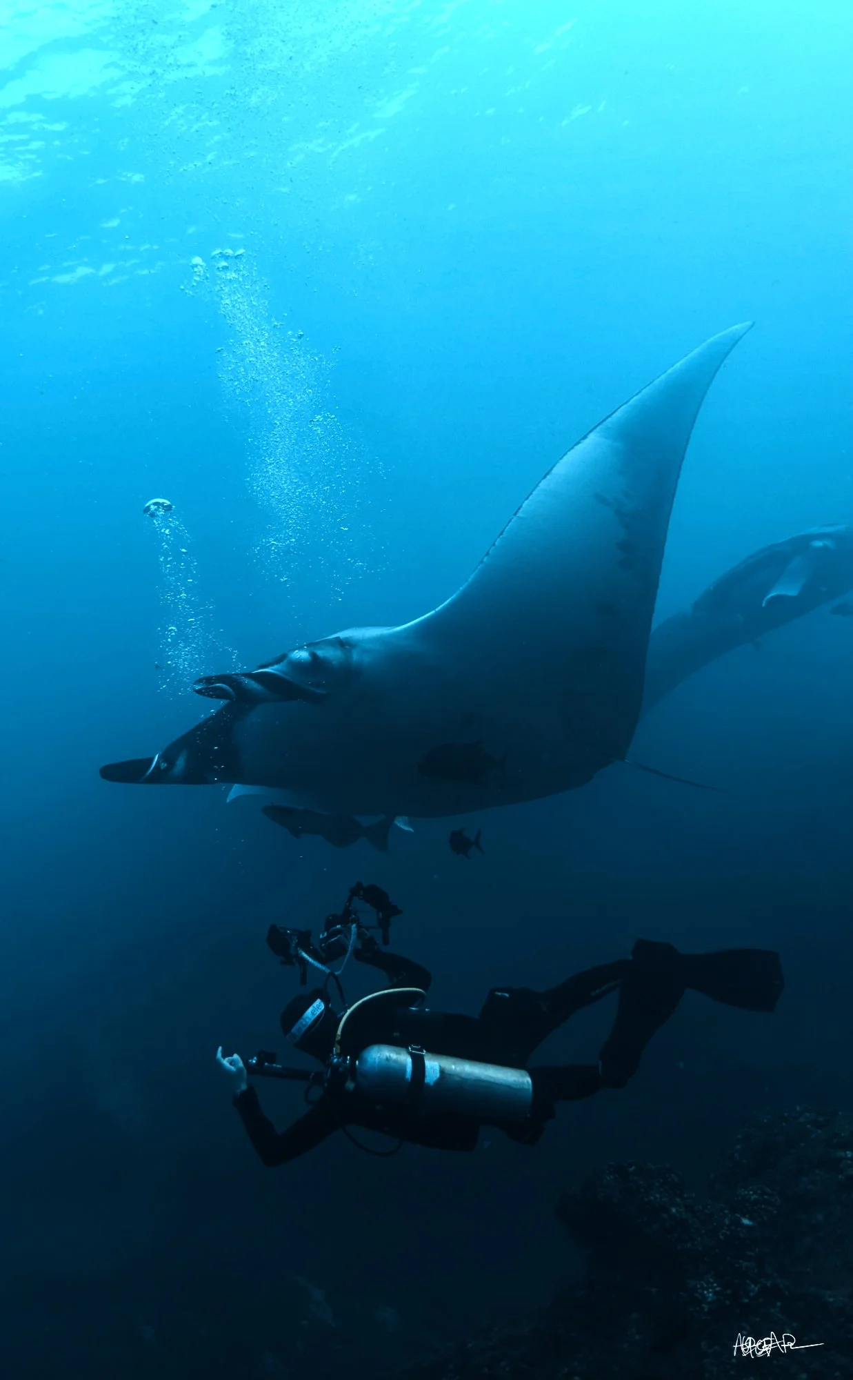 Human for Scale