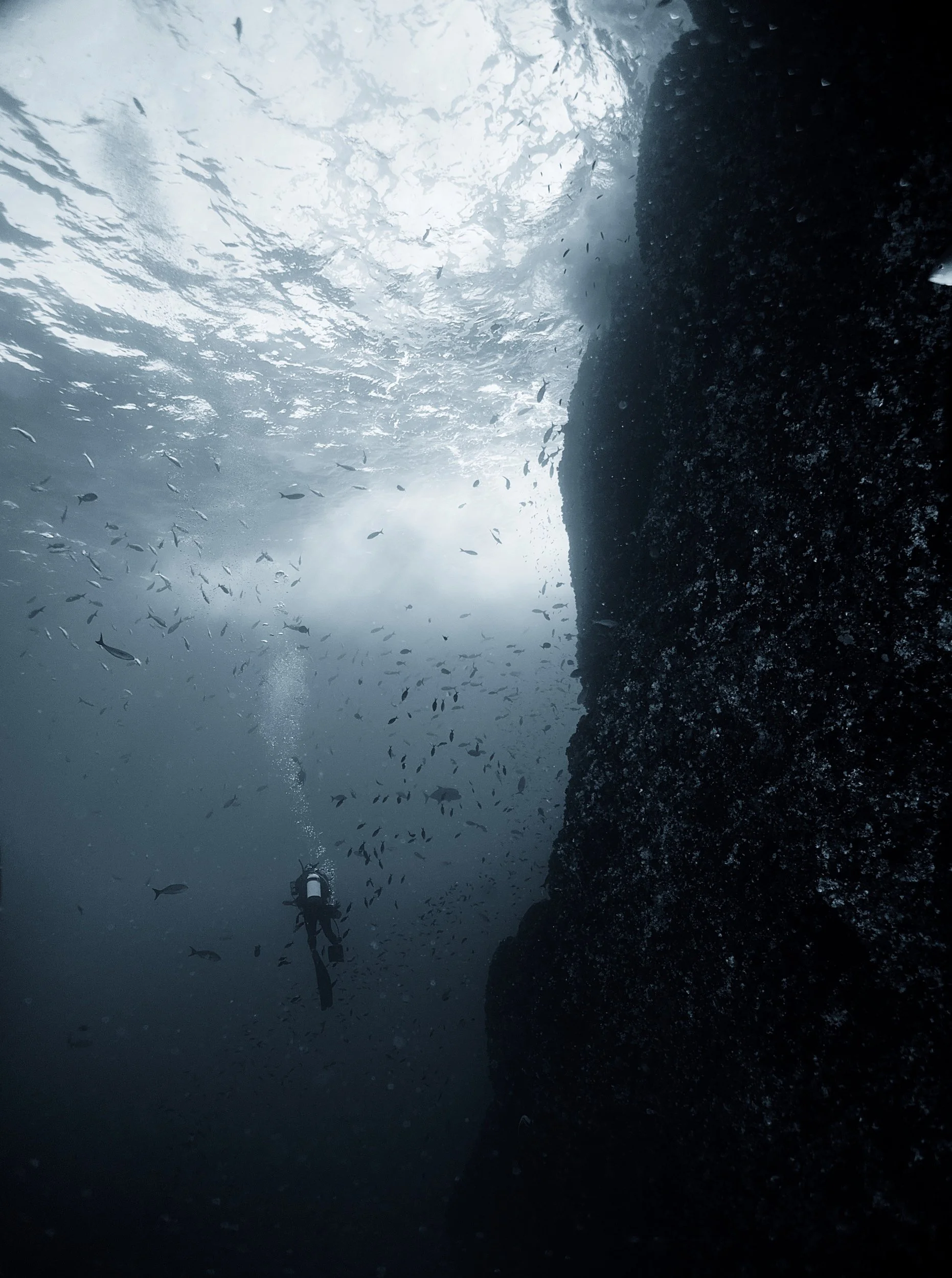 Diver Diver
