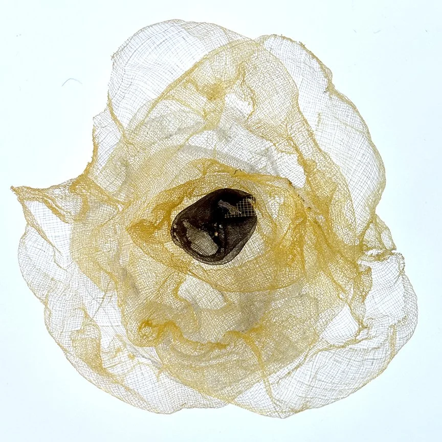 botanical-series-017.jpg