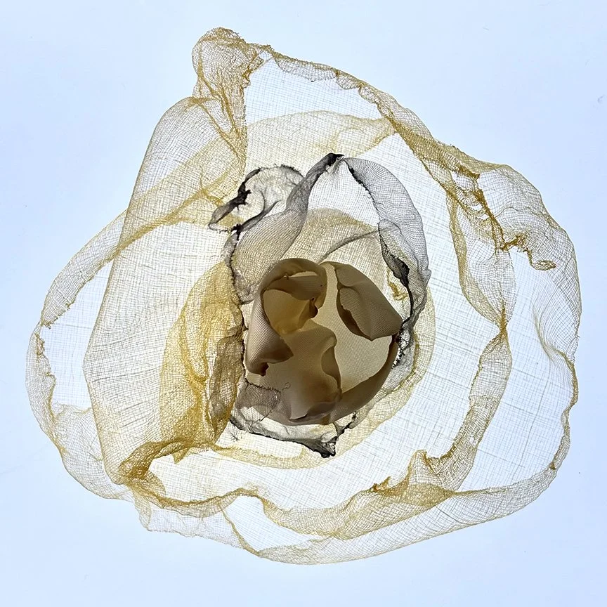 botanical-series-022.jpg