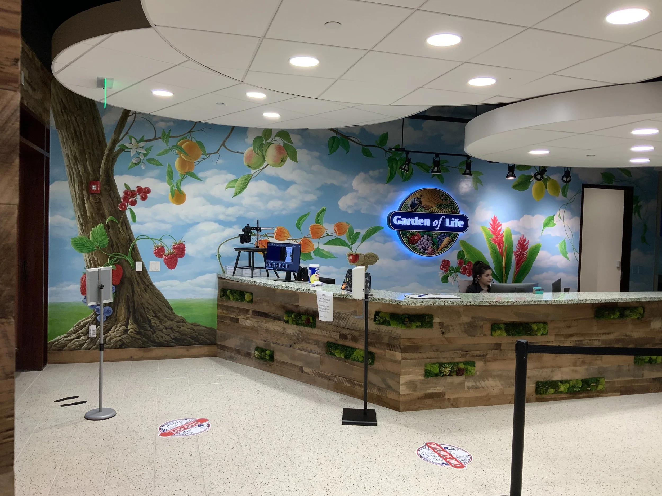 garden-of-life-headquarters-lobby-mural-palm-beach-gardens.jpeg