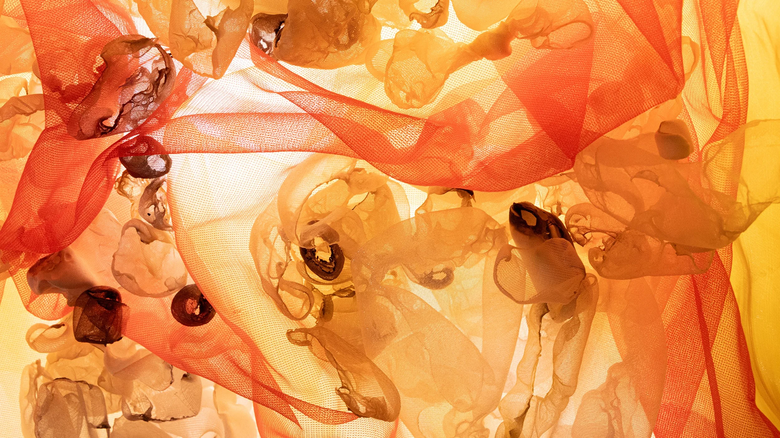 Close-up of translucent fabric or paper art resembling petals