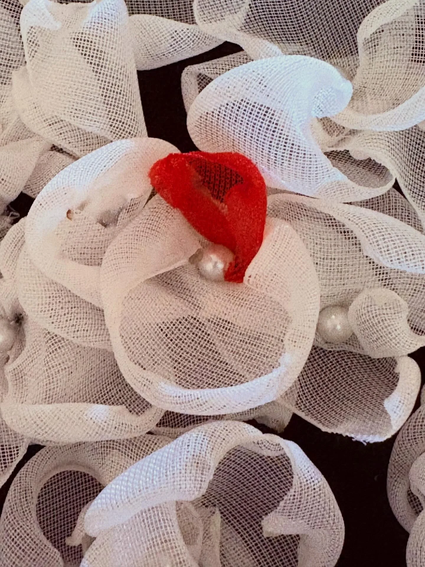 Flowers for My Mother Assembled scorched textile forms, 8x8 in. 2025
This miniature floral work is part of a series created as a metaphorical garden for my mother. Because we lived far apart, flowers were a gift she wasn&rsquo;t used to receiving dur