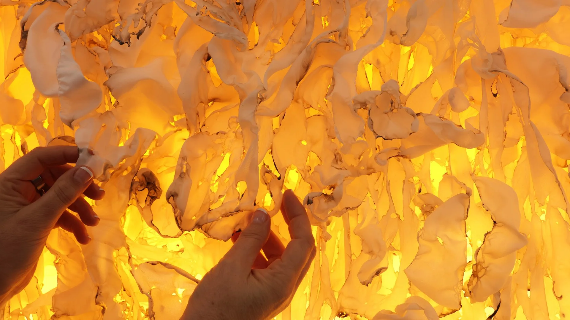 golden-rise-detail.jpg