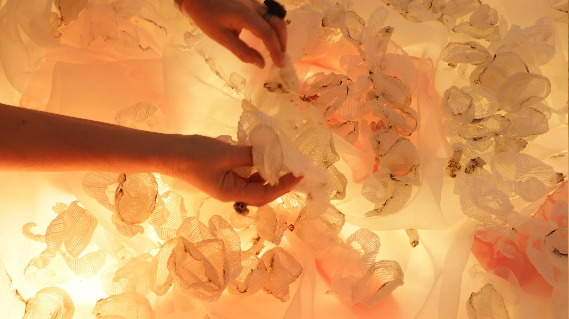 make-a-wish-installation-2025.jpg