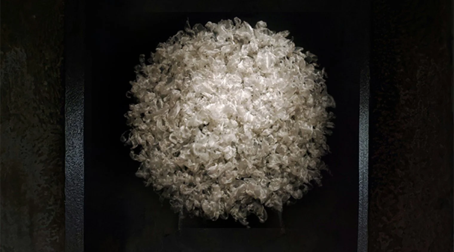 moonlight-art-installation-on-black-wall copy.jpg