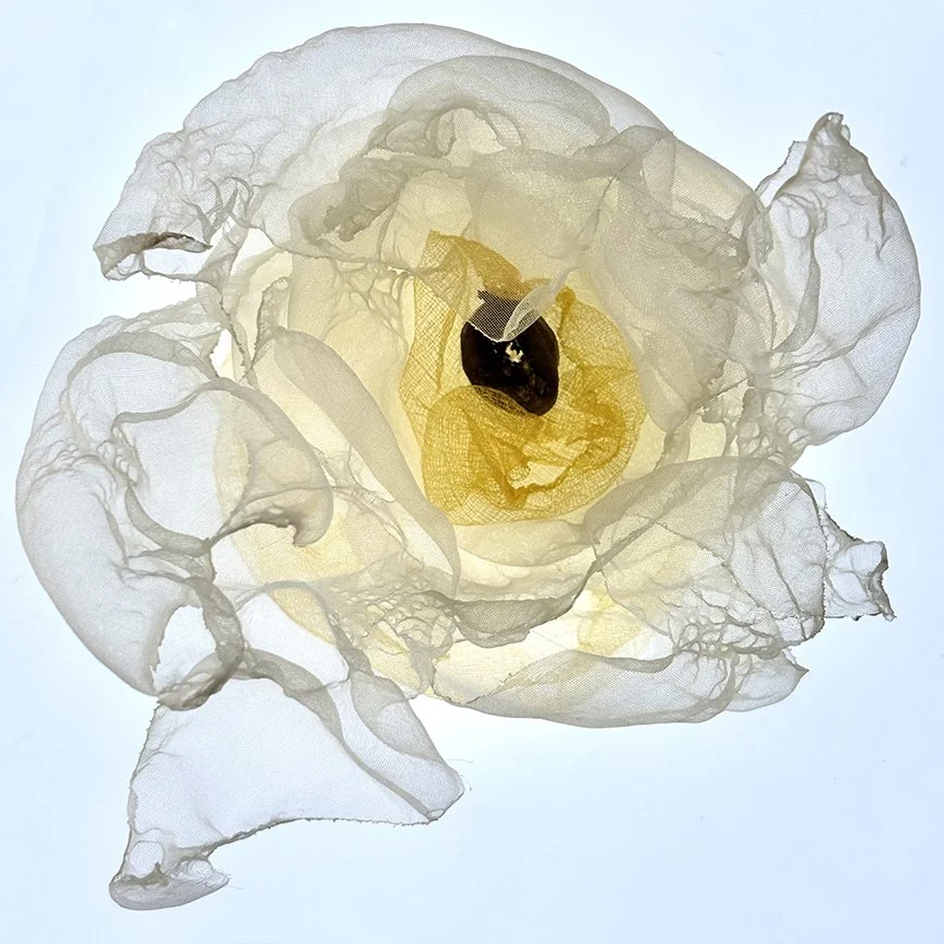 botanical-series-026.jpg