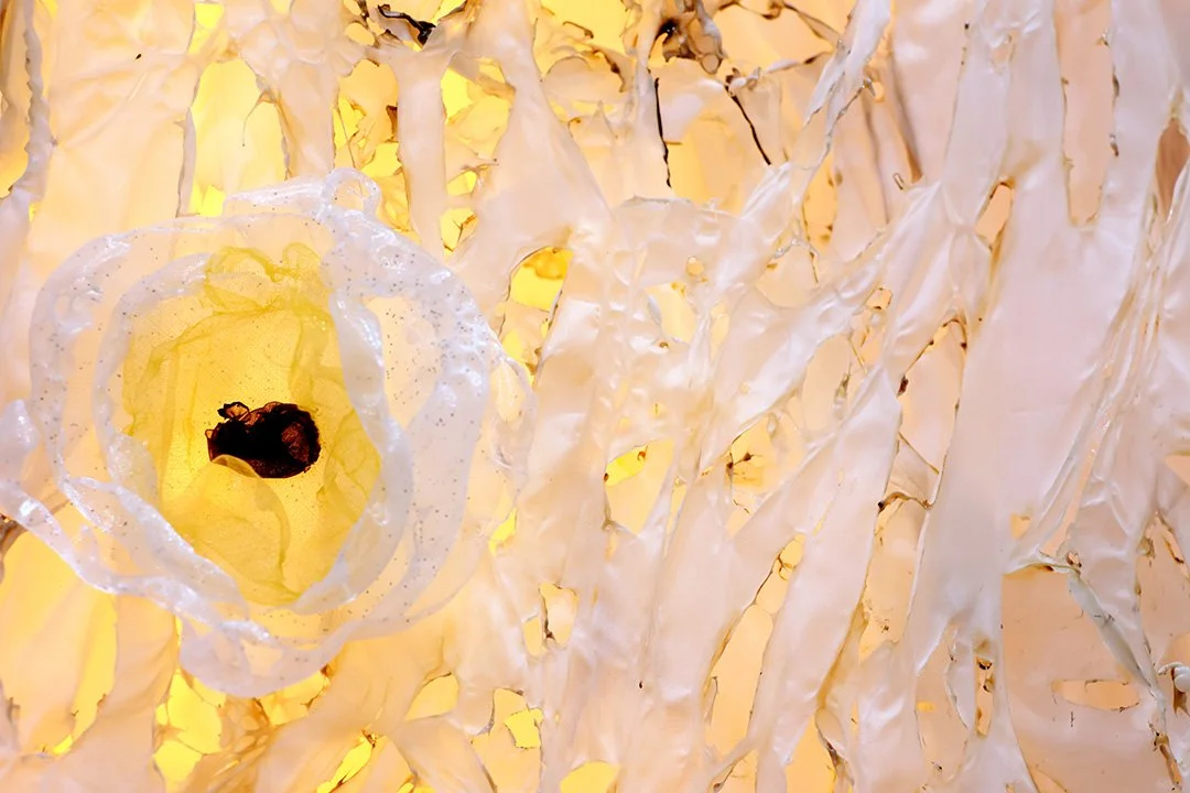floral-worlds.jpg