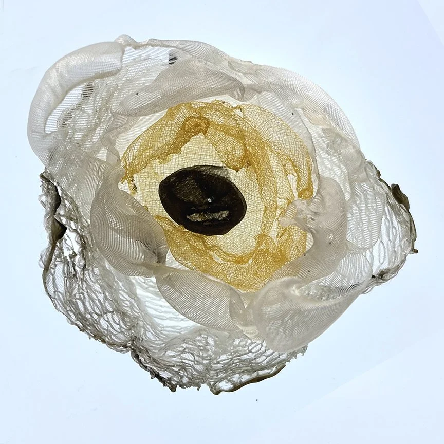 botanical-series-09.jpg