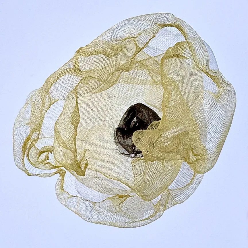 botanical-series-021.jpg