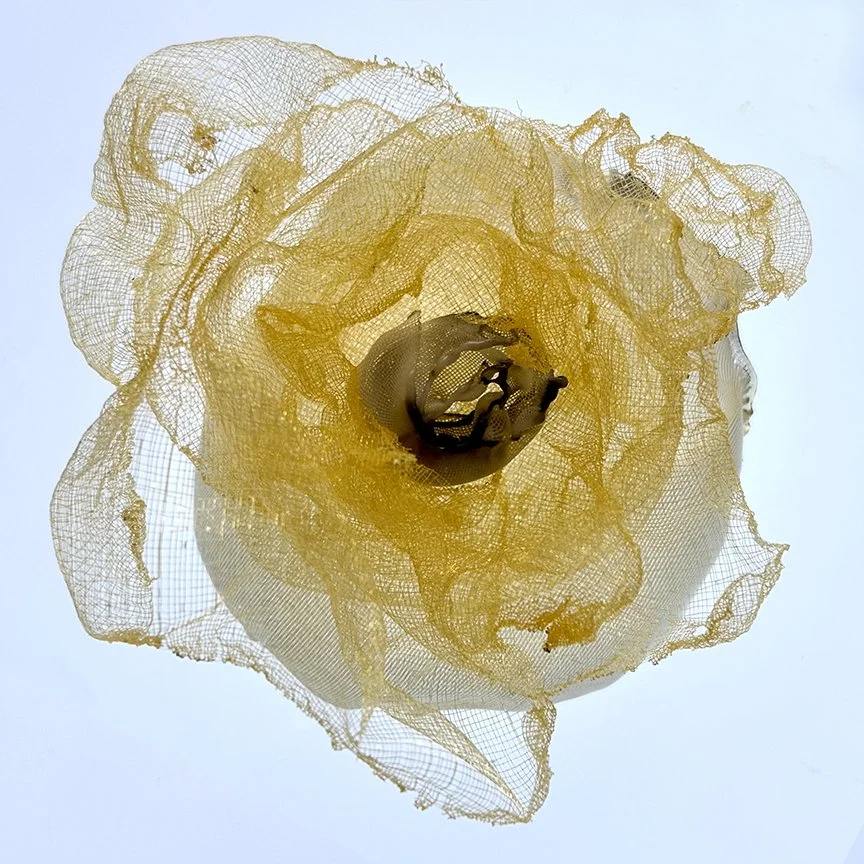 botanical-series-011.jpg