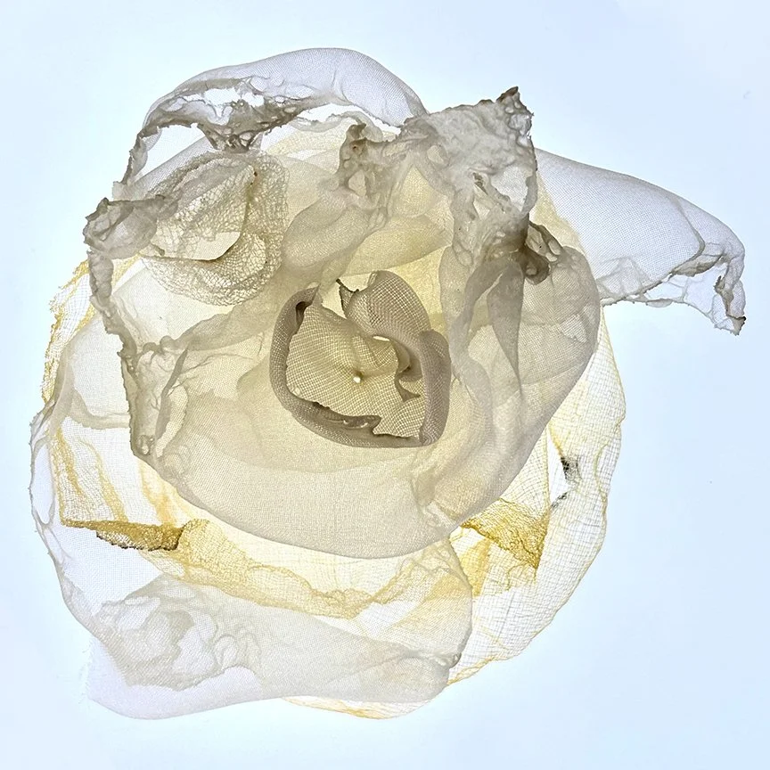 botanical-series-025.jpg