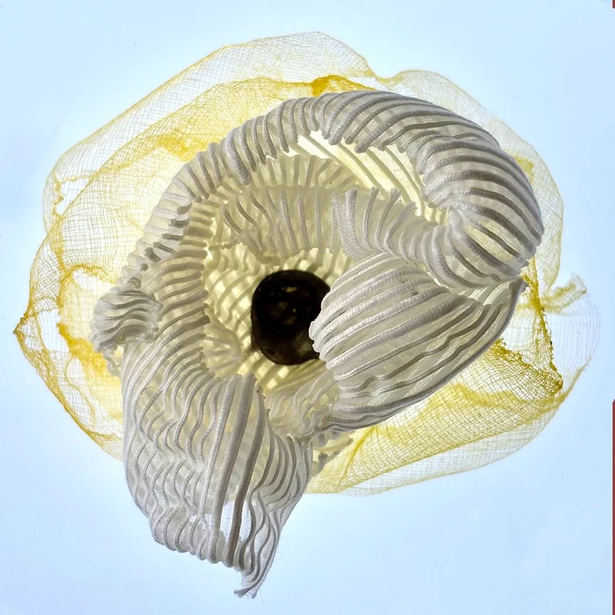 botanical-series-07.jpg