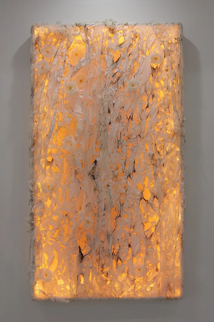 worlds-textile-panel.jpg
