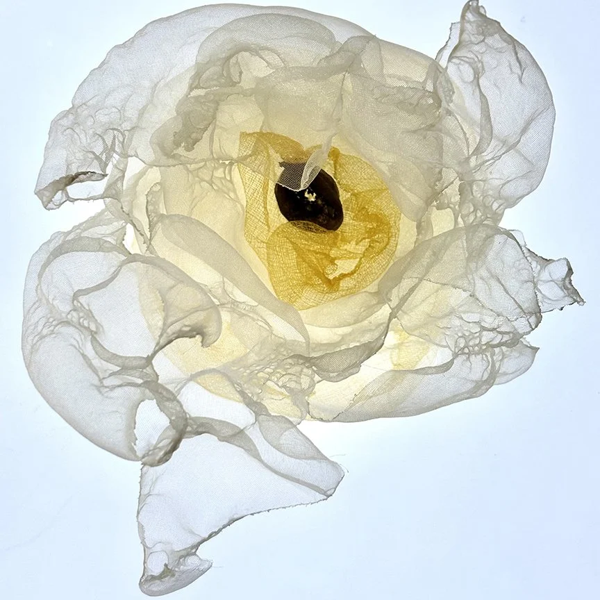 botanical-series-02.jpg