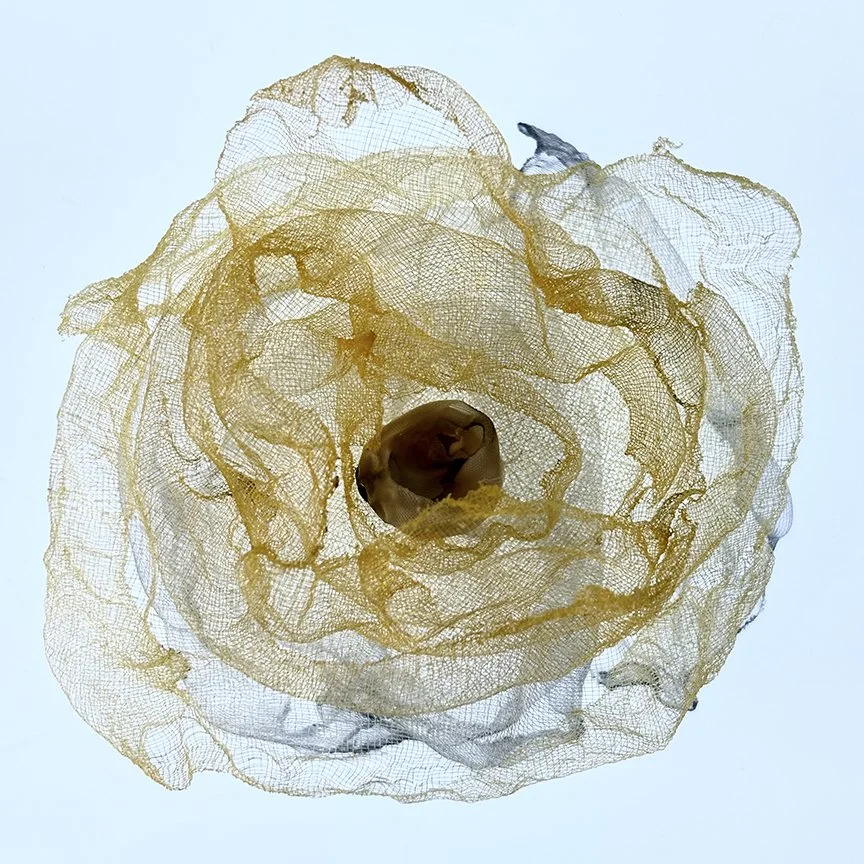 botanical-series-020.jpg
