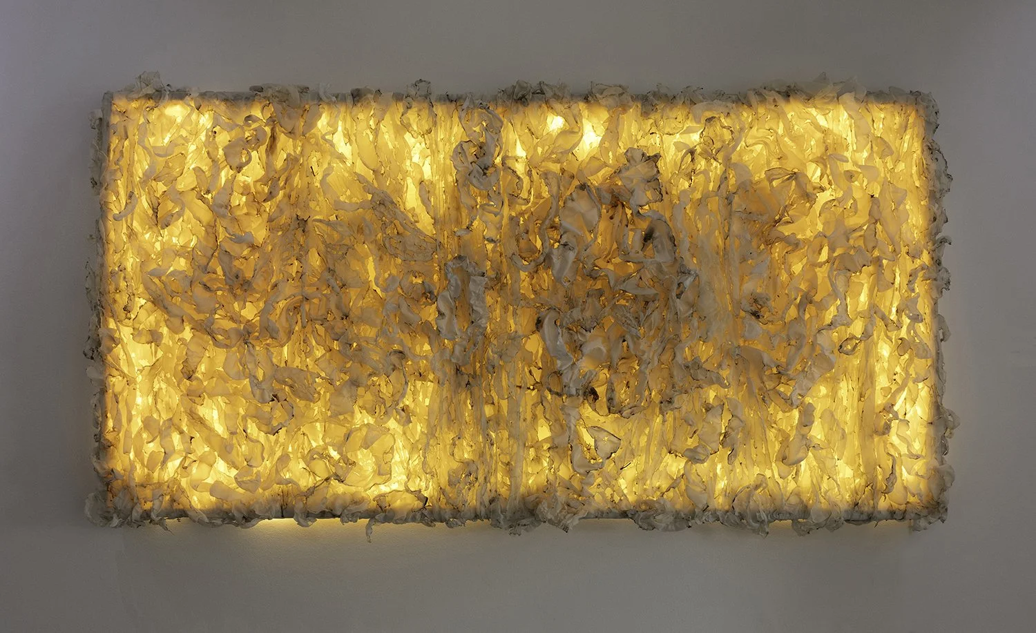 GOLDEN RISE