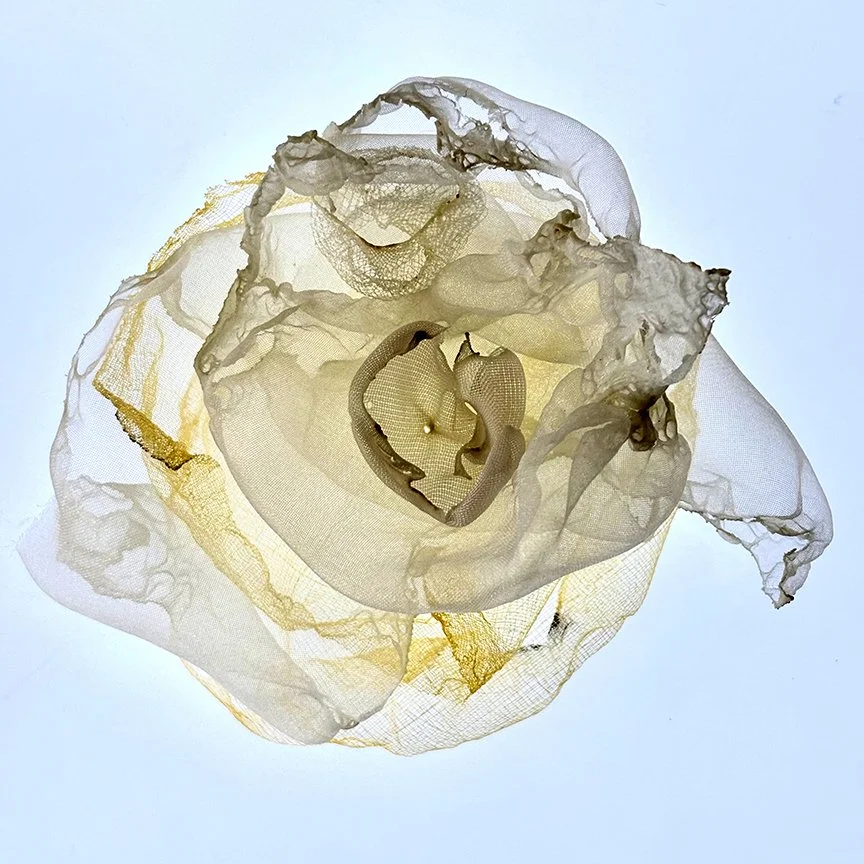 botanical-series-01.jpg