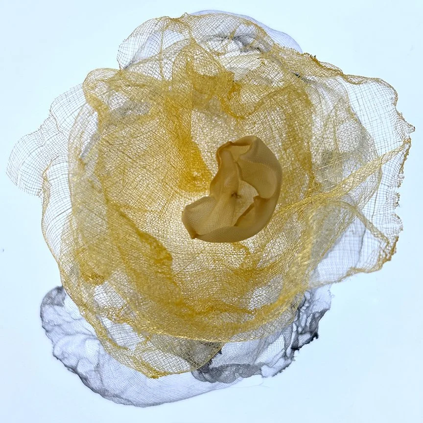 botanical-series-012.jpg