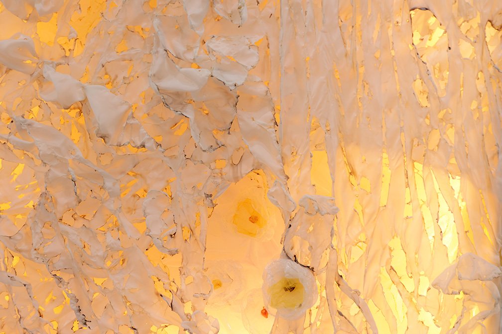worlds-from-the-other-side-detail.jpg