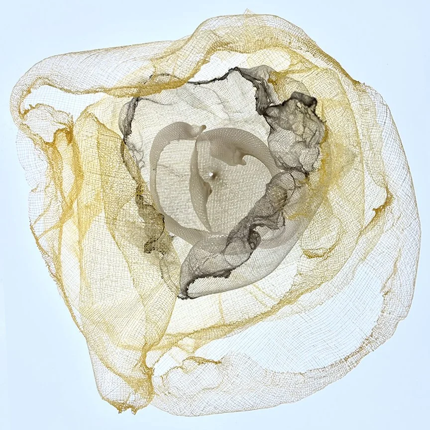 botanical-series-024.jpg
