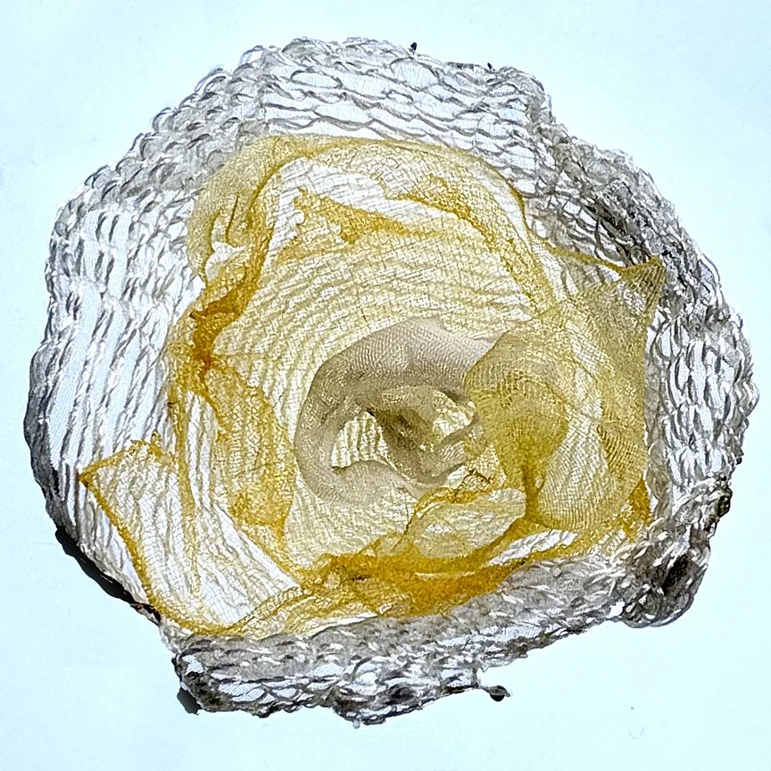 botanical-series-016.jpg
