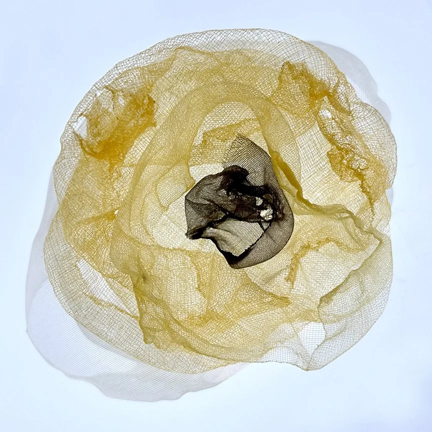 botanical-series-019.jpg