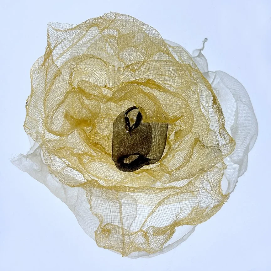 botanical-series-018.jpg