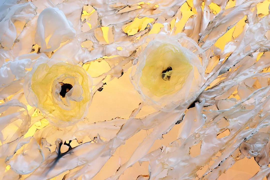 worlds-textile-art.jpg