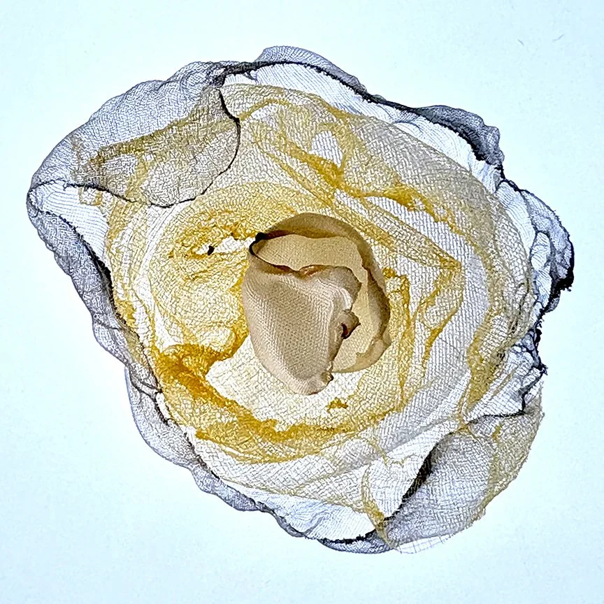 botanical-series-015.jpg