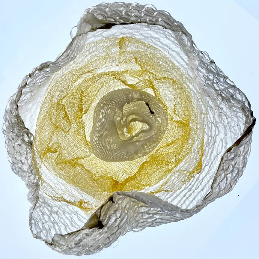 botanical-series-08.jpg