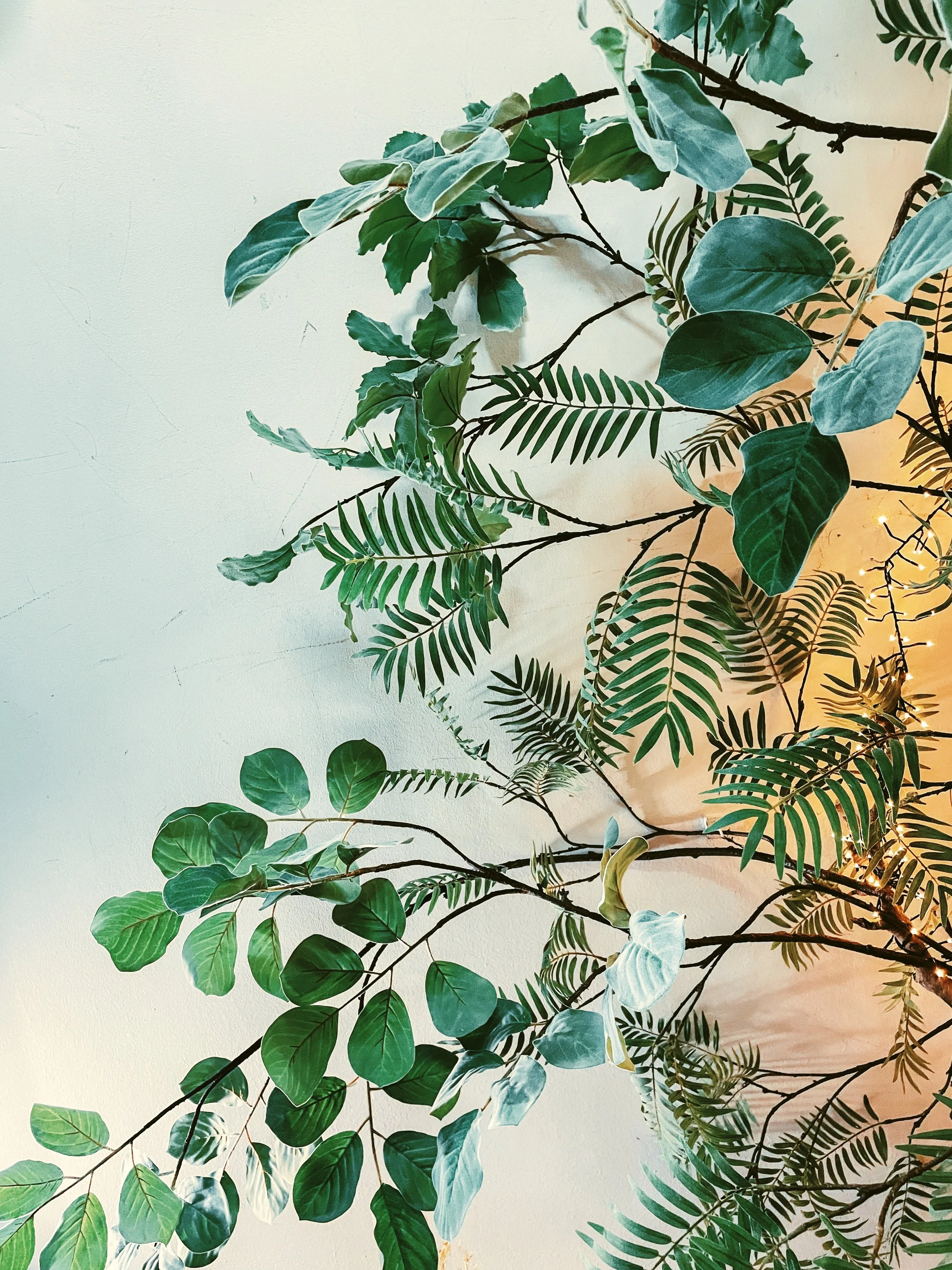 Email & Conversion Copy