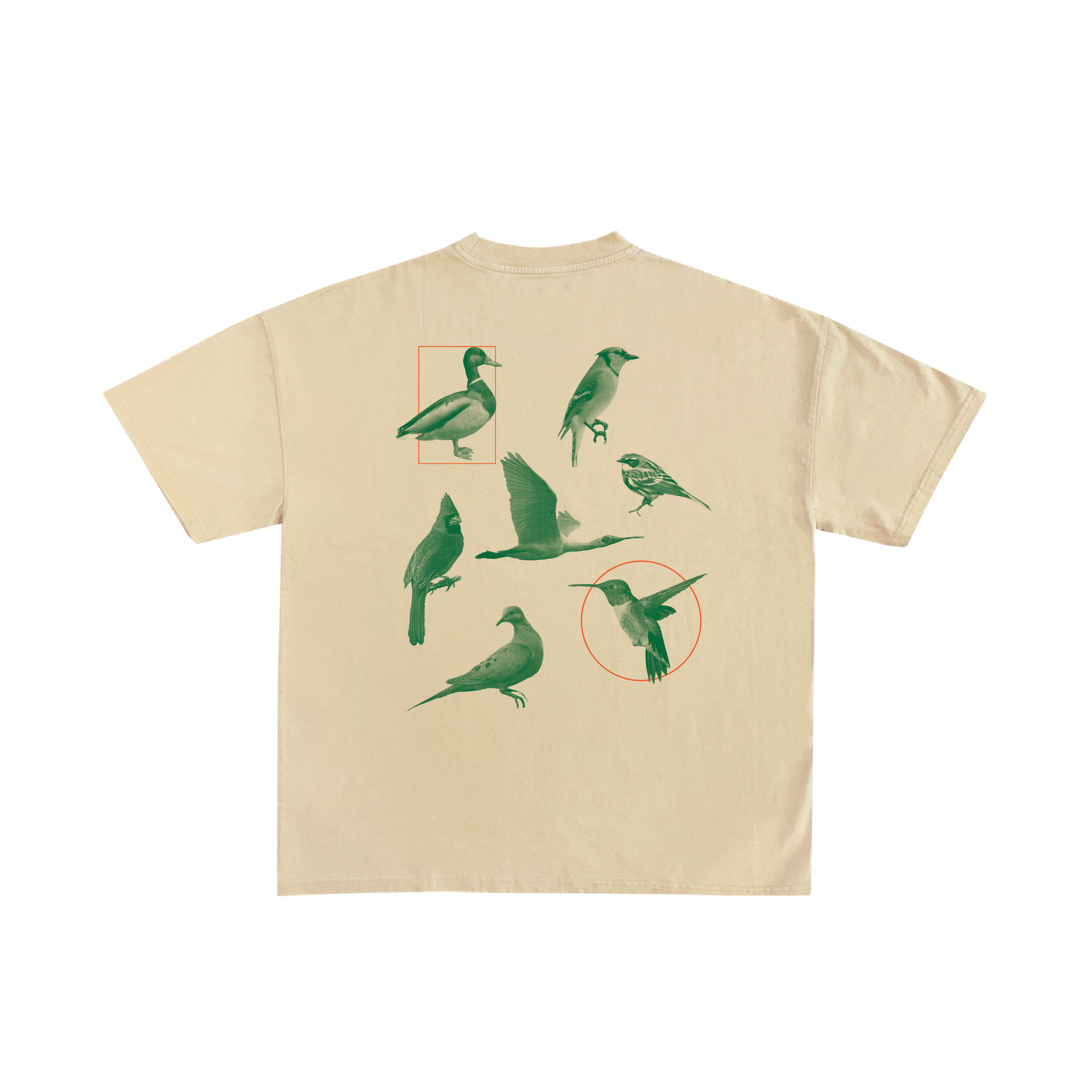 bird club back.png
