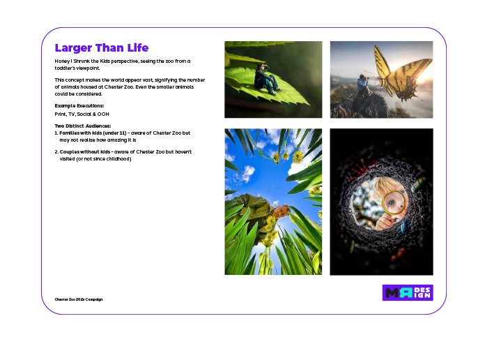 A page from an educational leaflet titled 'Larger Than Life' explaining children’s perspectives of zoo animals with four pictures: a beetle on a leaf, a butterfly on a rock, a child in a cornfield, and a child looking through a magnifying glass.