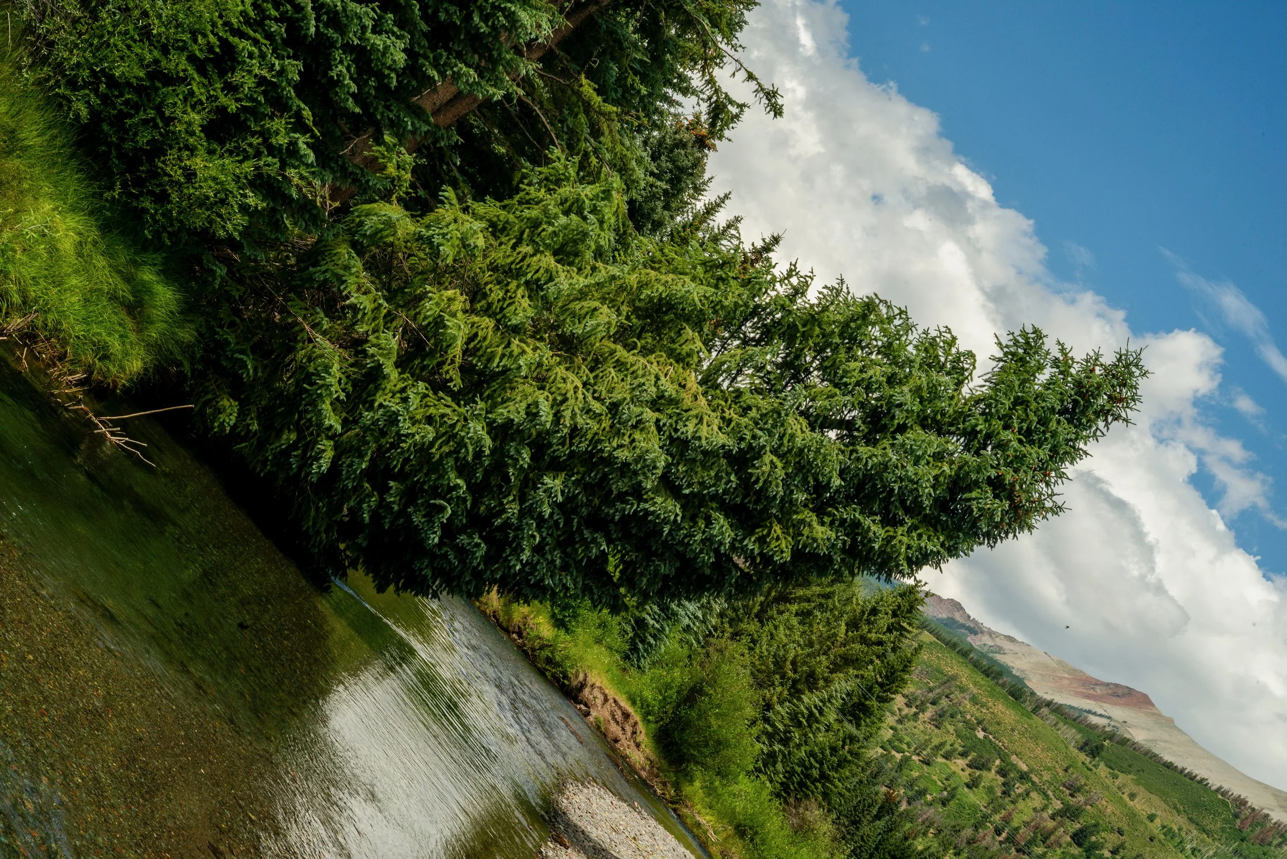 July 18, 2025Corbin Rouette-8.jpeg