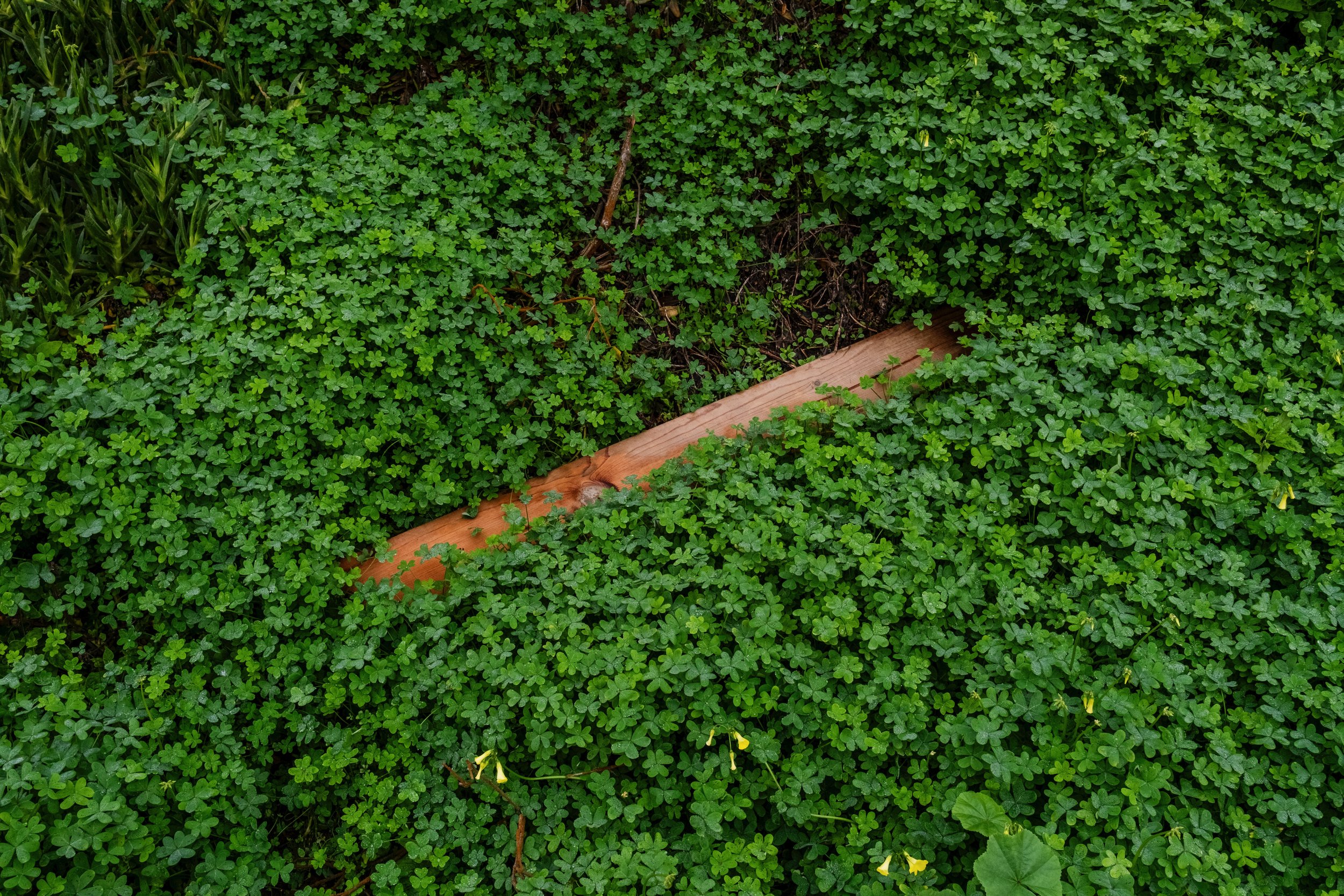 December 19, 2025Corbin Rouette-80.jpeg