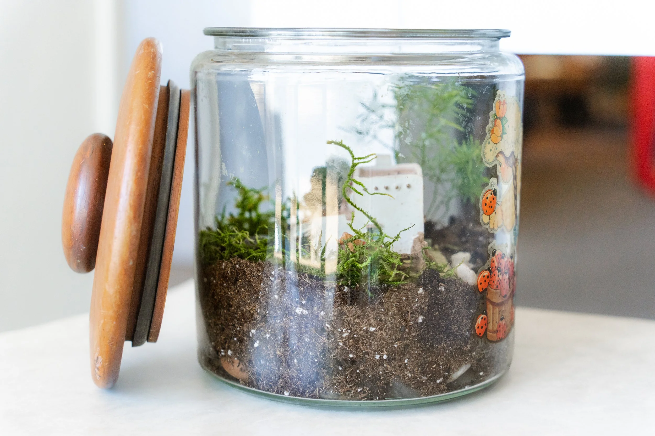 Thrifted Table Top Terrariums