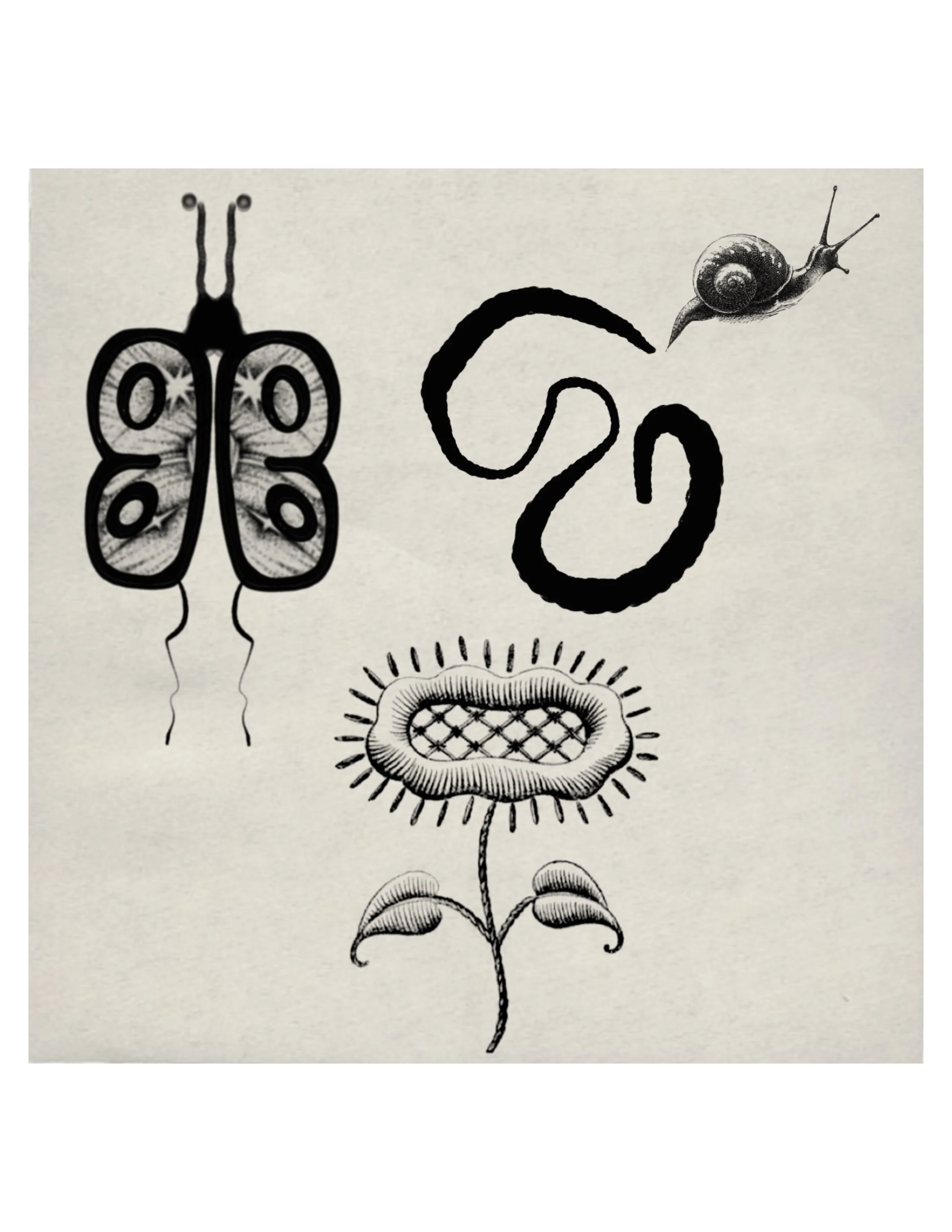 Untitled_Artwork (36).JPG