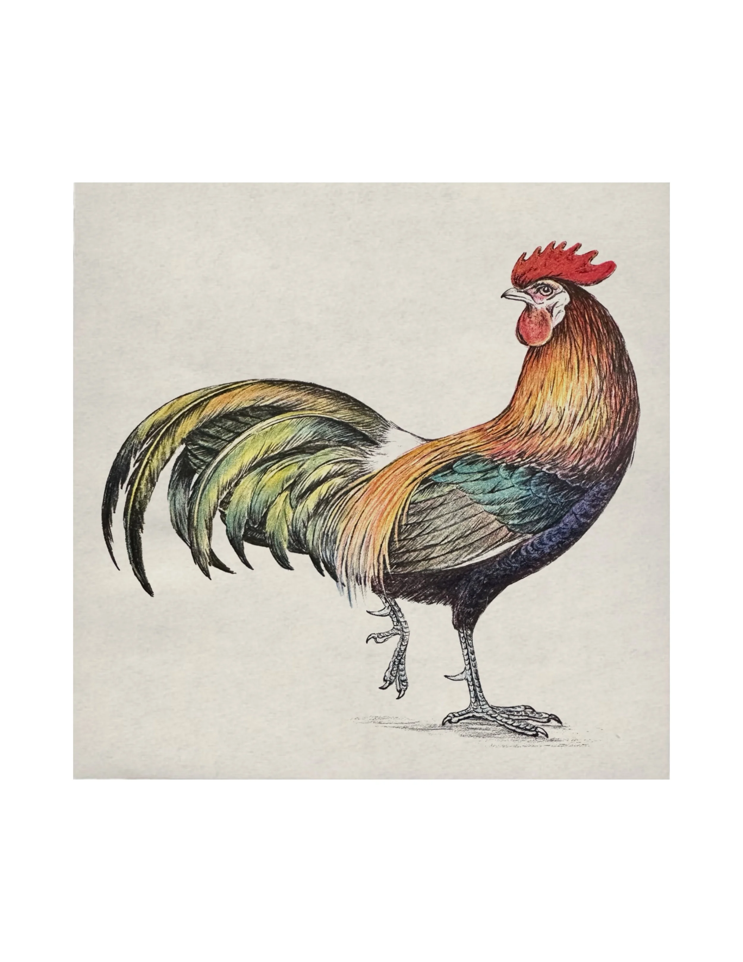 Untitled_Artwork (34).JPG