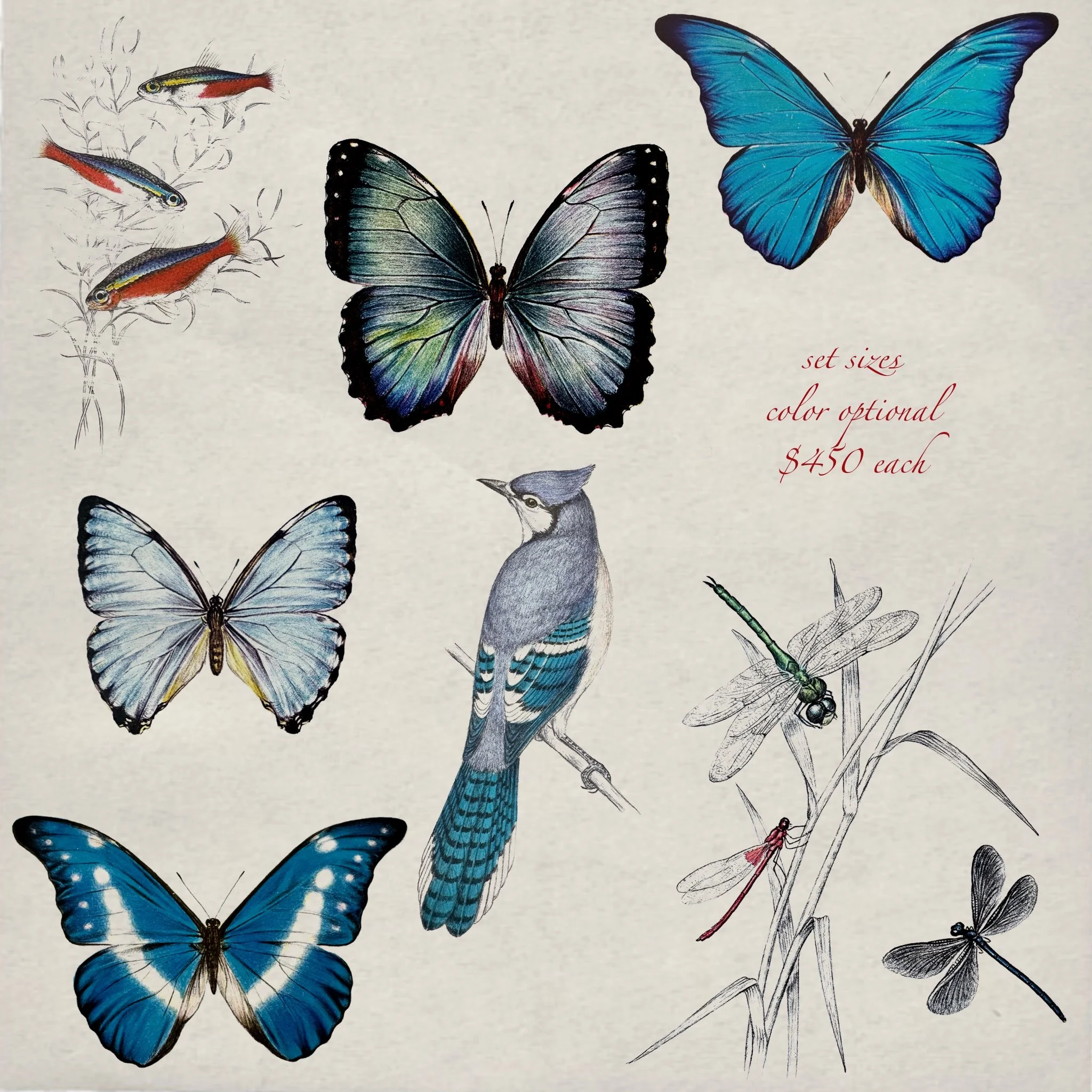 Untitled_Artwork (29).JPG