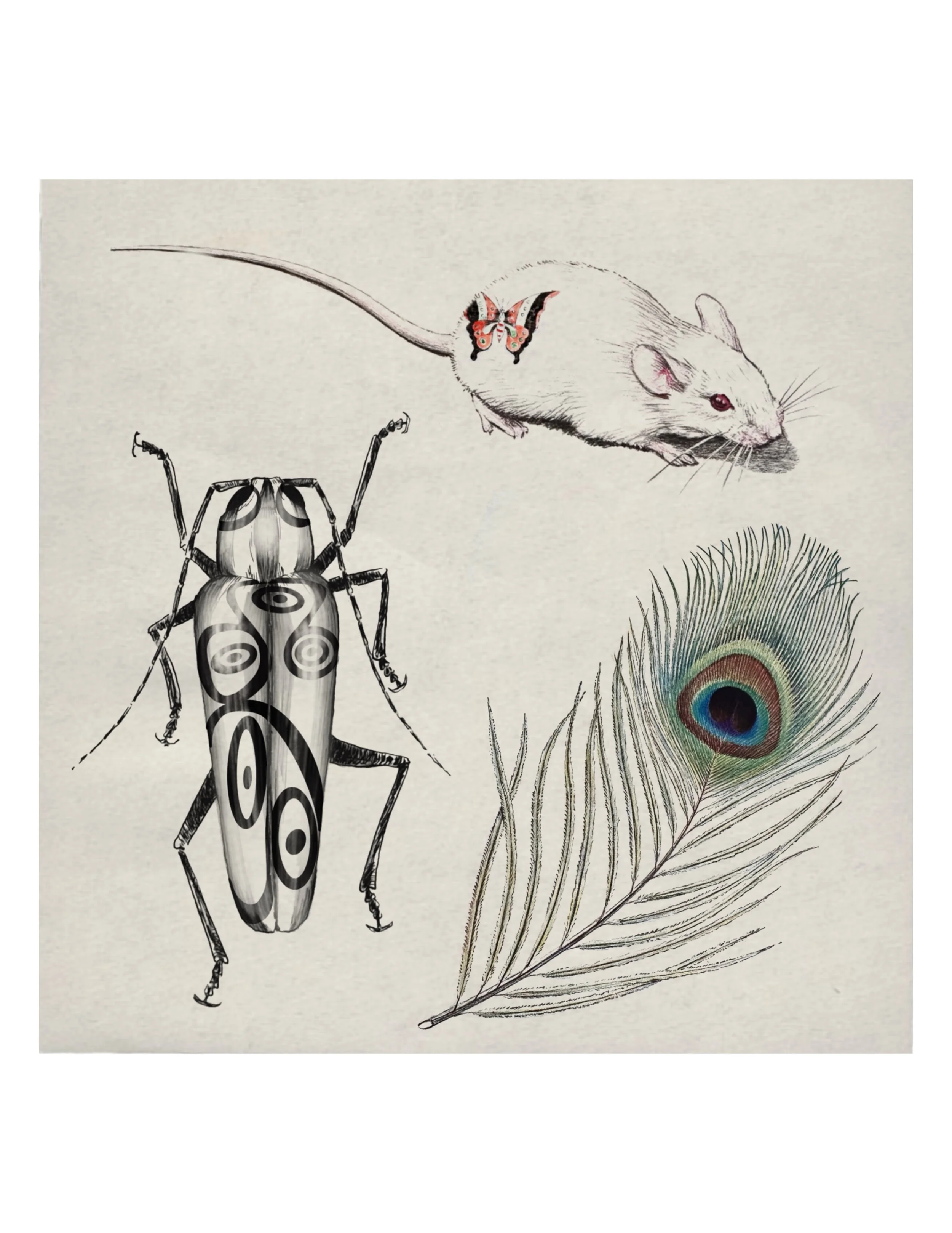 Untitled_Artwork (35).JPG